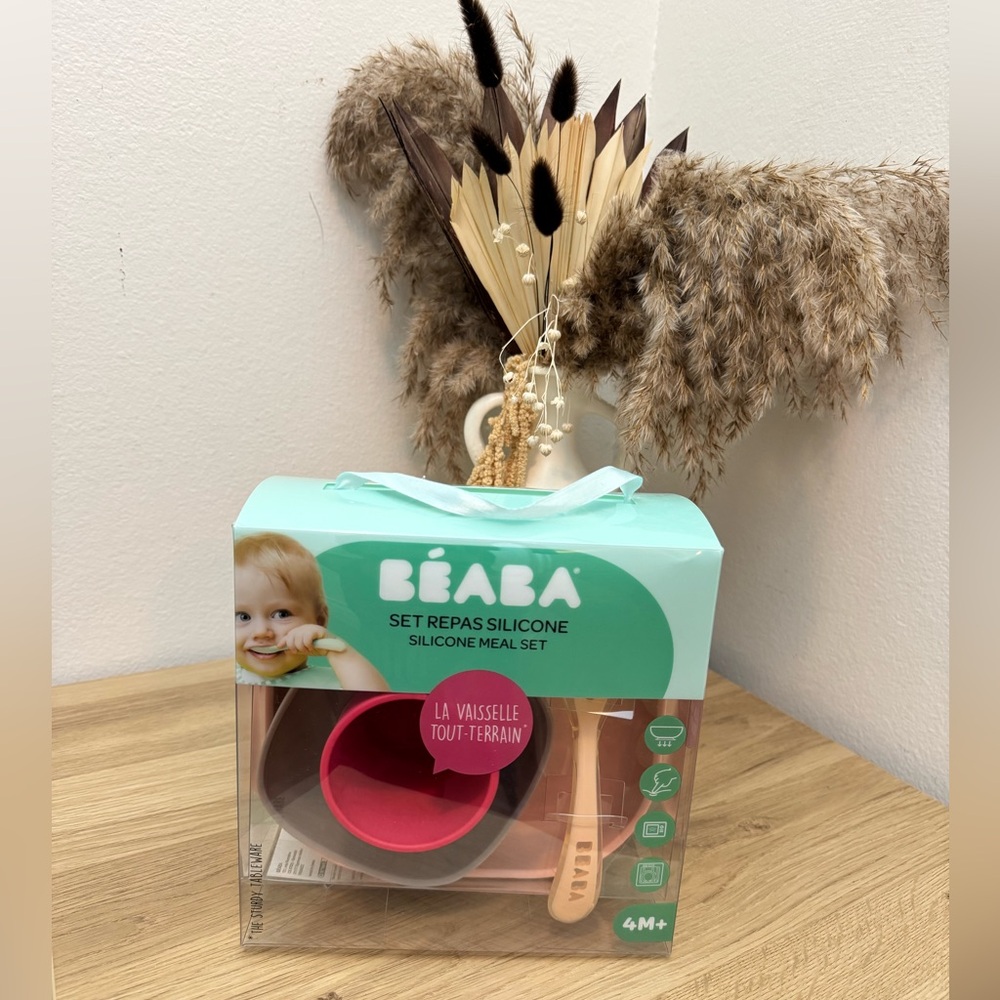 Beaba Silicone Meal Set (Repass) – Pink